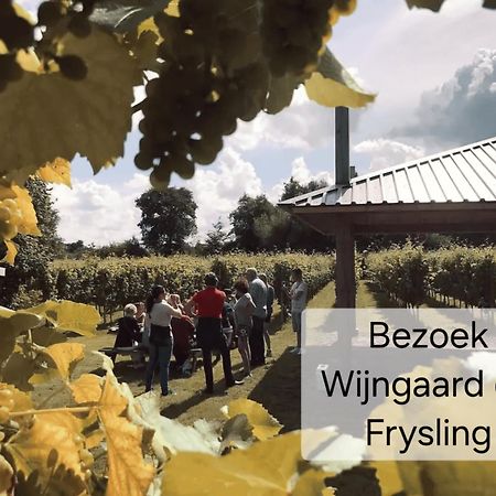 Familychalet De Schaapskooi, 6-Persons, Big Private Garden, Dogs Aloud Westergeest Eksteriør billede